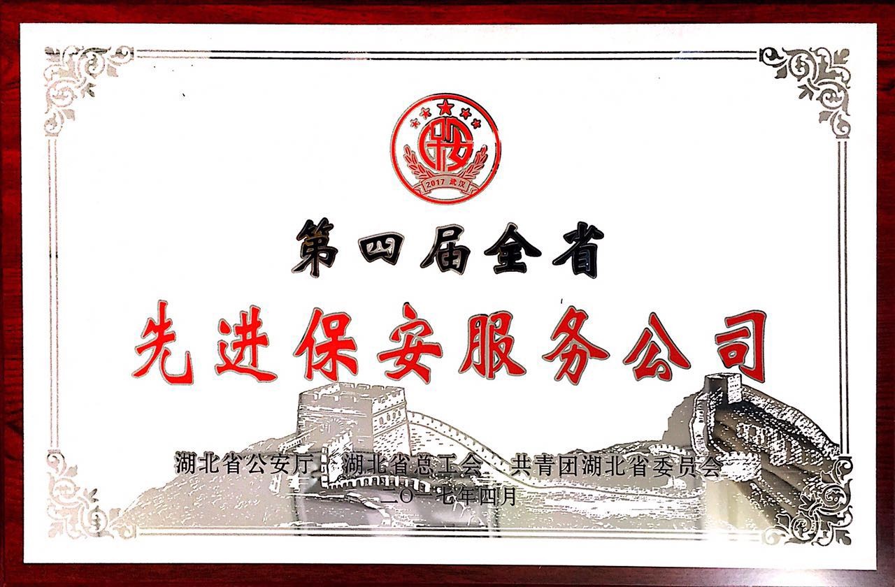 公司网站启用全新版本