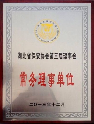 恭喜我司成功改版网站
